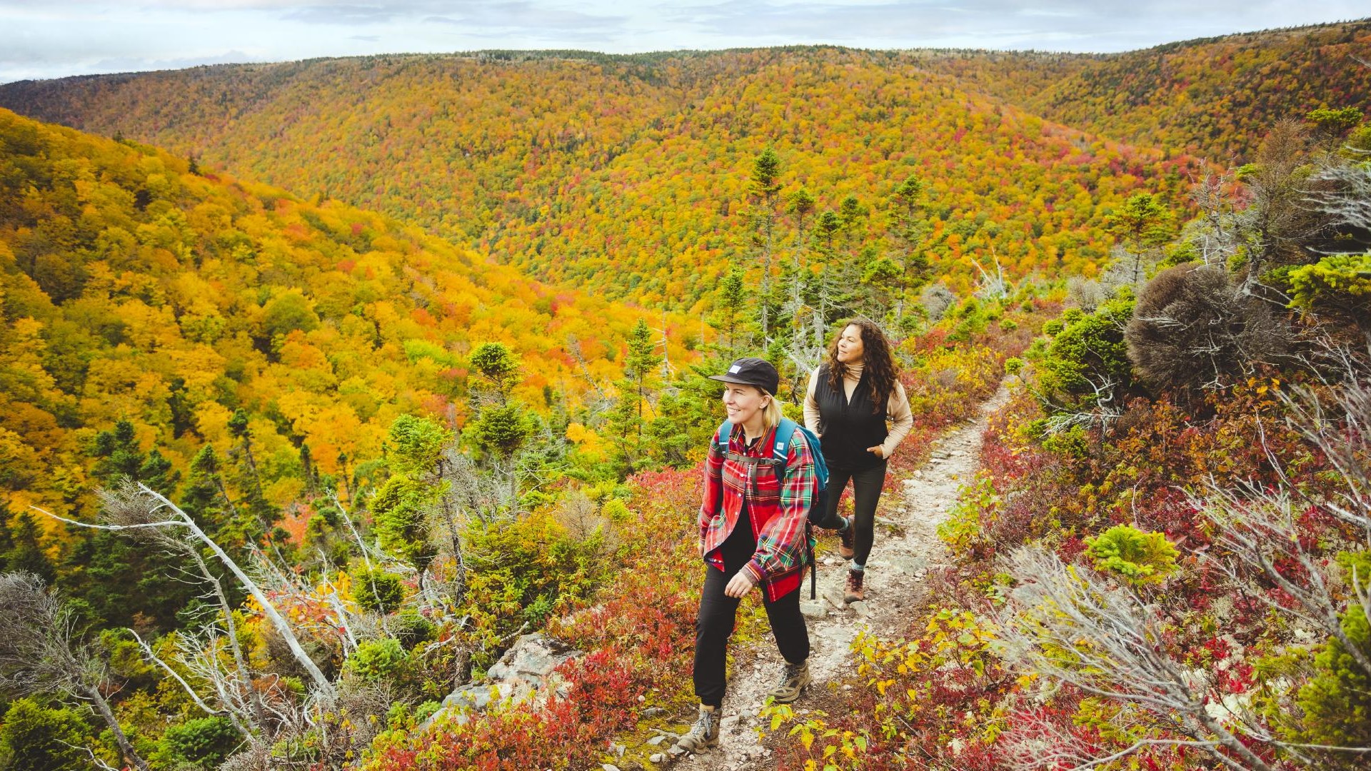 Wentworth Mountain Biking Trails in Wentworth Valley, Nova Scotia