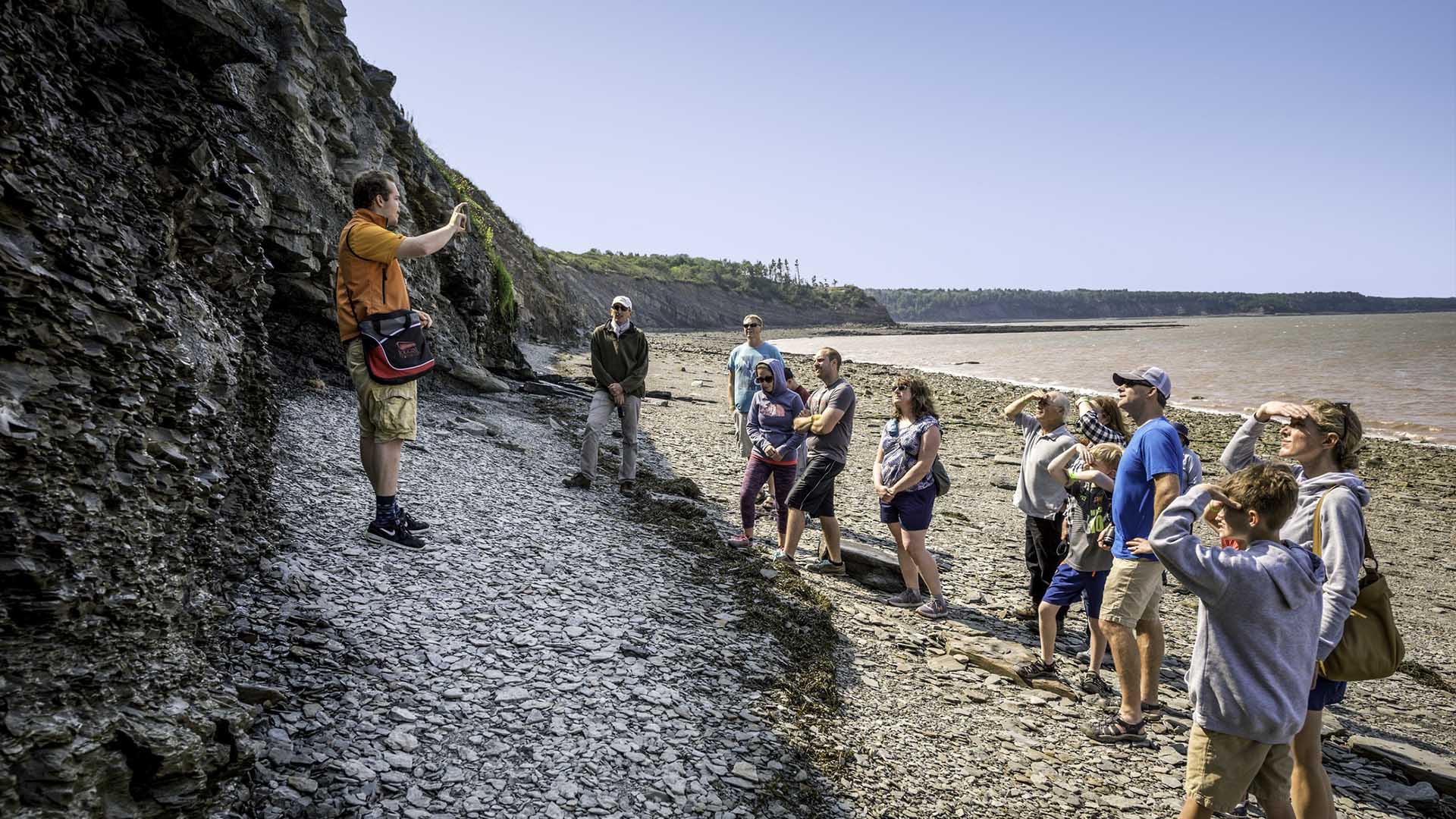 Discovery Coast Atlantic Forest Reserves - UNESCO World Heritage Centre