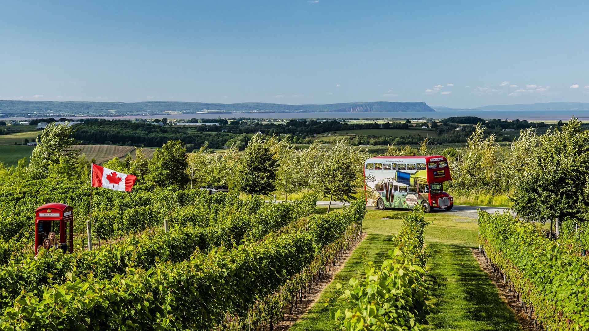 Jost Vineyards Côte de Bras d'Or