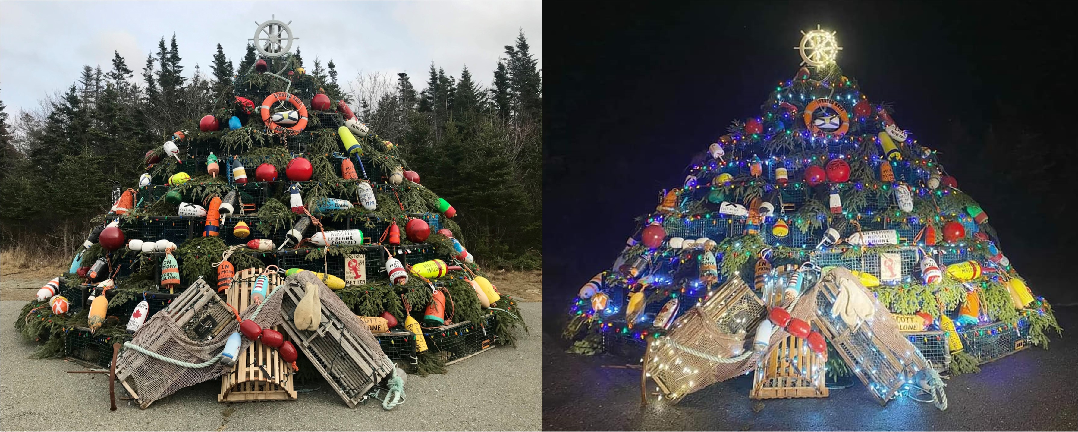 Nova Scotia's Unique Christmas Tree Traditions