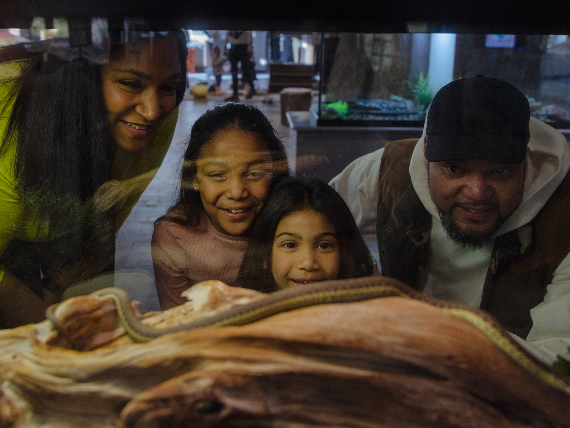 a family looks at a snake in its enclosure at the Museum of Natural History in Halifax Nova Scotia