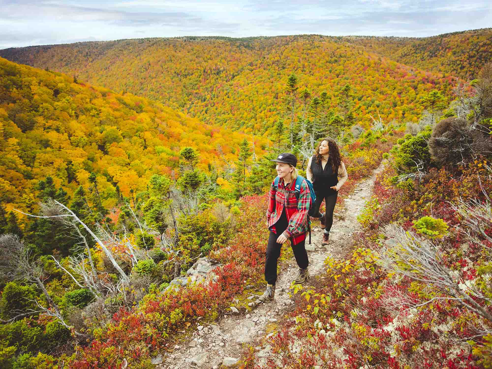 6 expériences d’automne incontournables en Nouvelle-Écosse