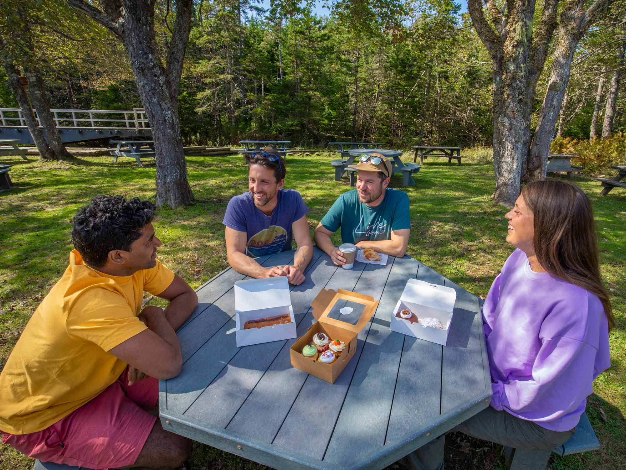 Four friends having a picnic with an assortment of desserts from the Martinique Desserterie in Musquodoboit Harbour in Nova Scotia