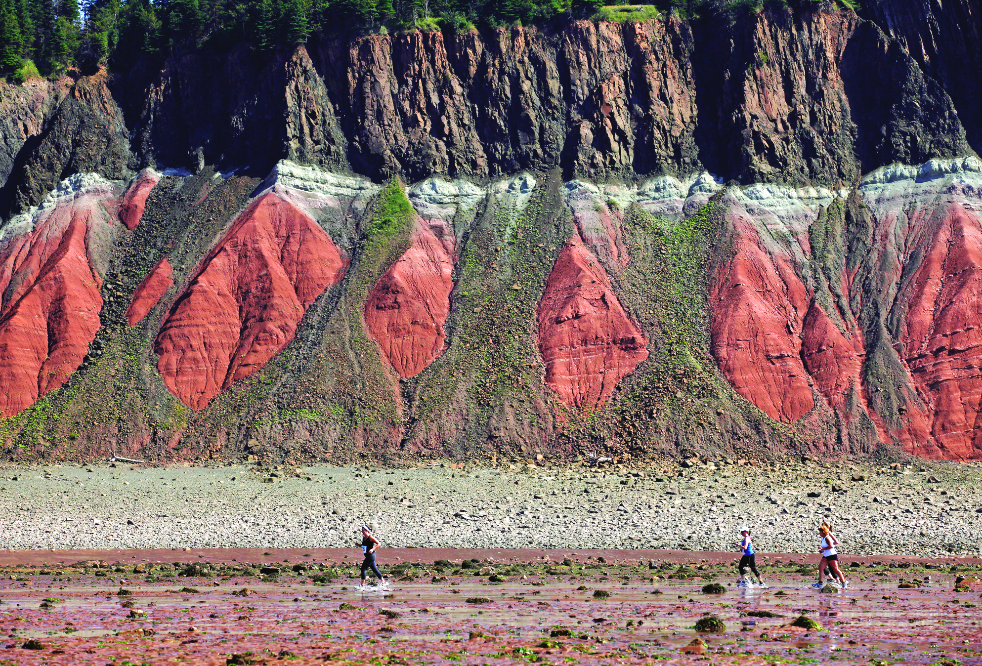 Cliffs of Fundy UNESCO Global Geopark