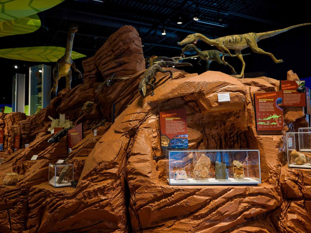 Fossils on Horseback