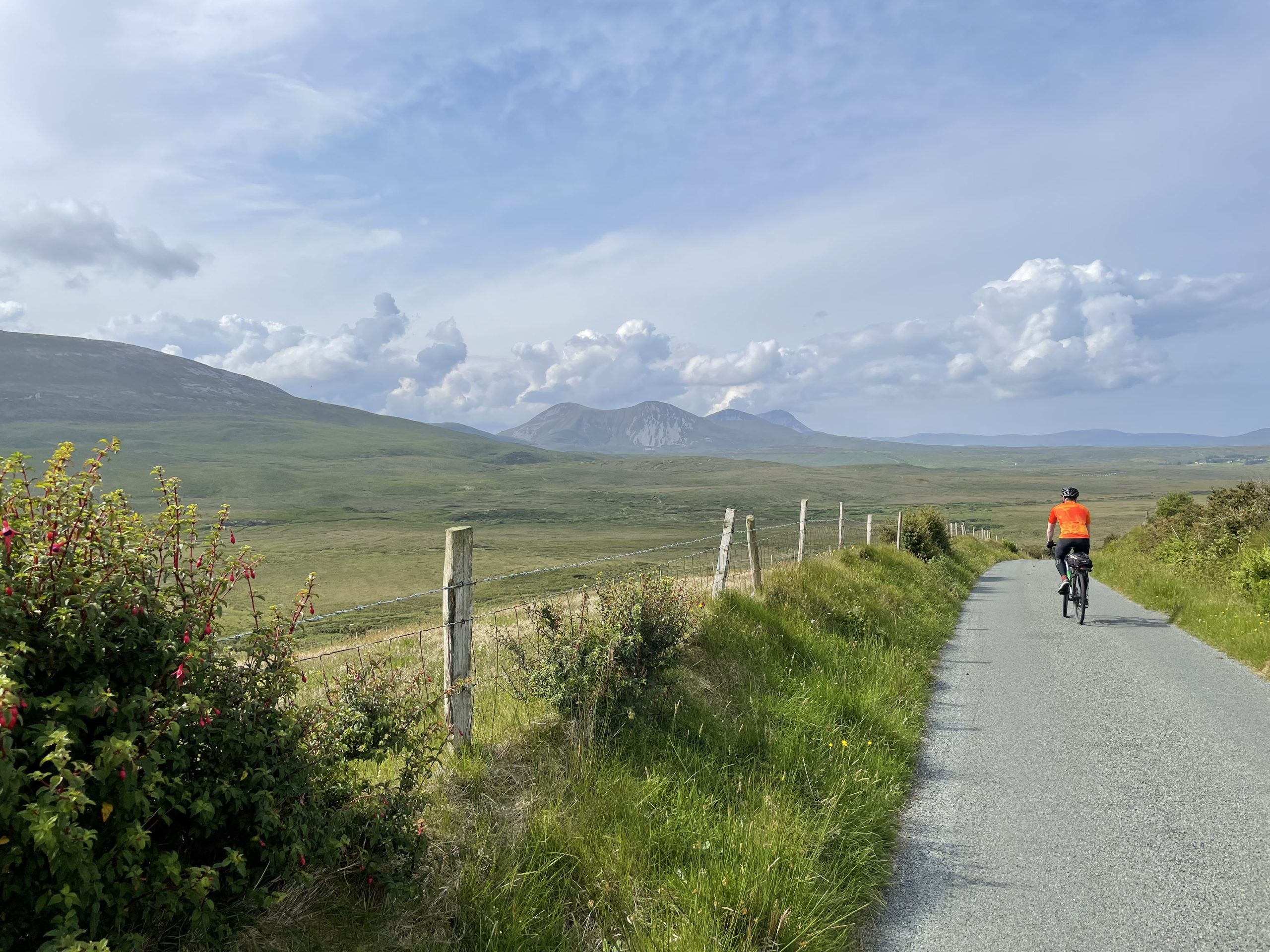 Freewheeling Adventures