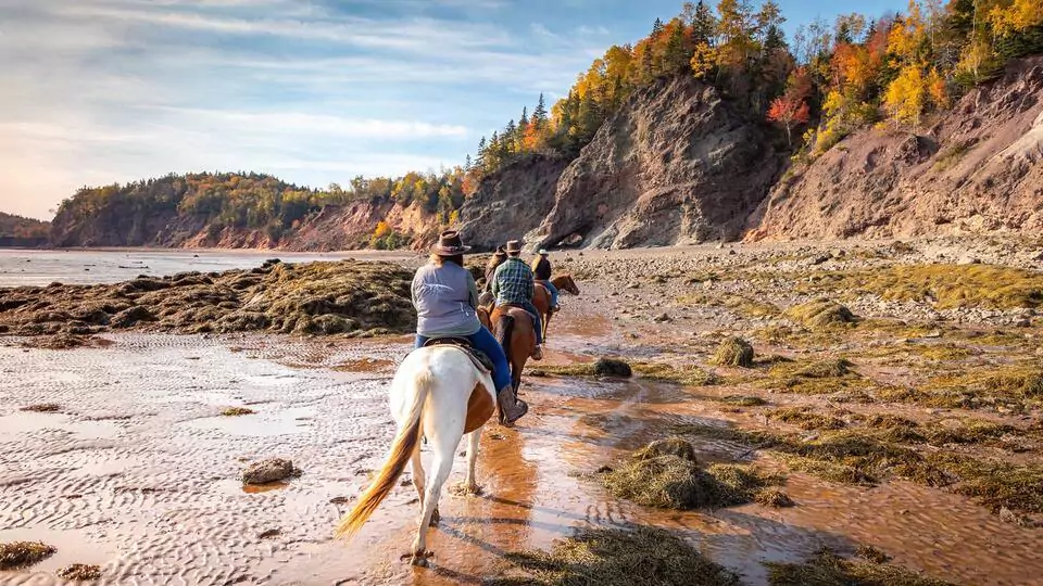 Horseback riding on a beach in the Cliffs of Fundy Geopark in Nova Scotia