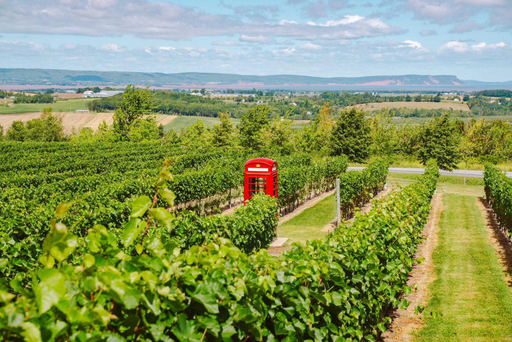 Magic Winery Bus Tour: Friday and Sunday