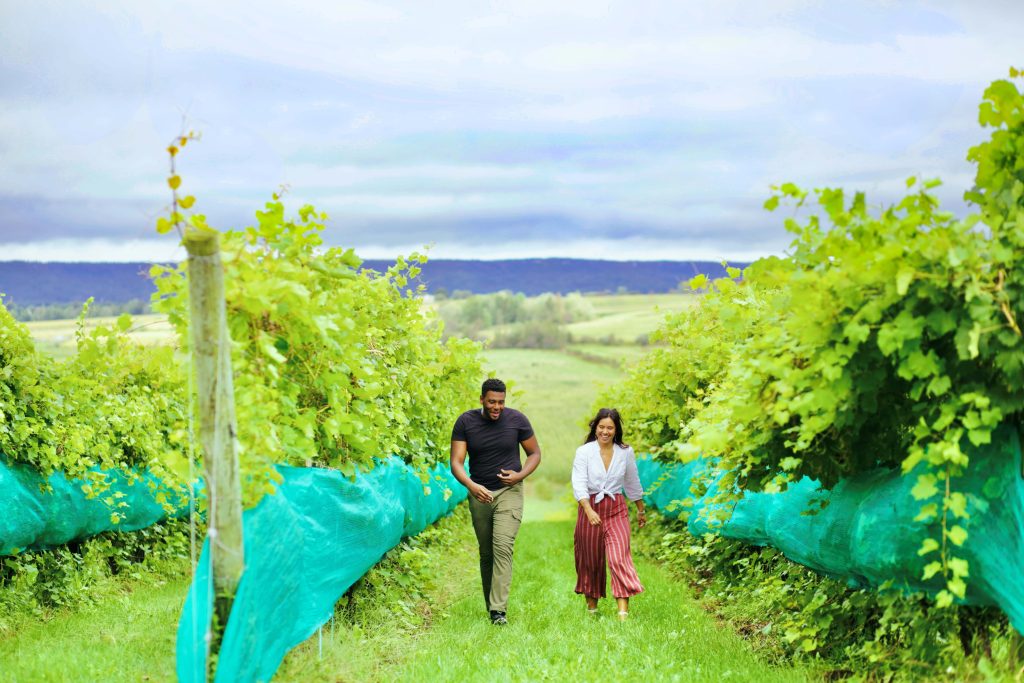 Taste the Terroir Tour