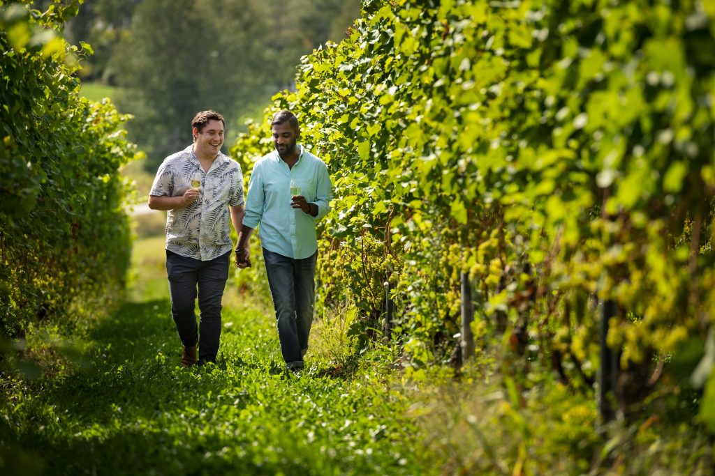 Taste the Terroir Tour