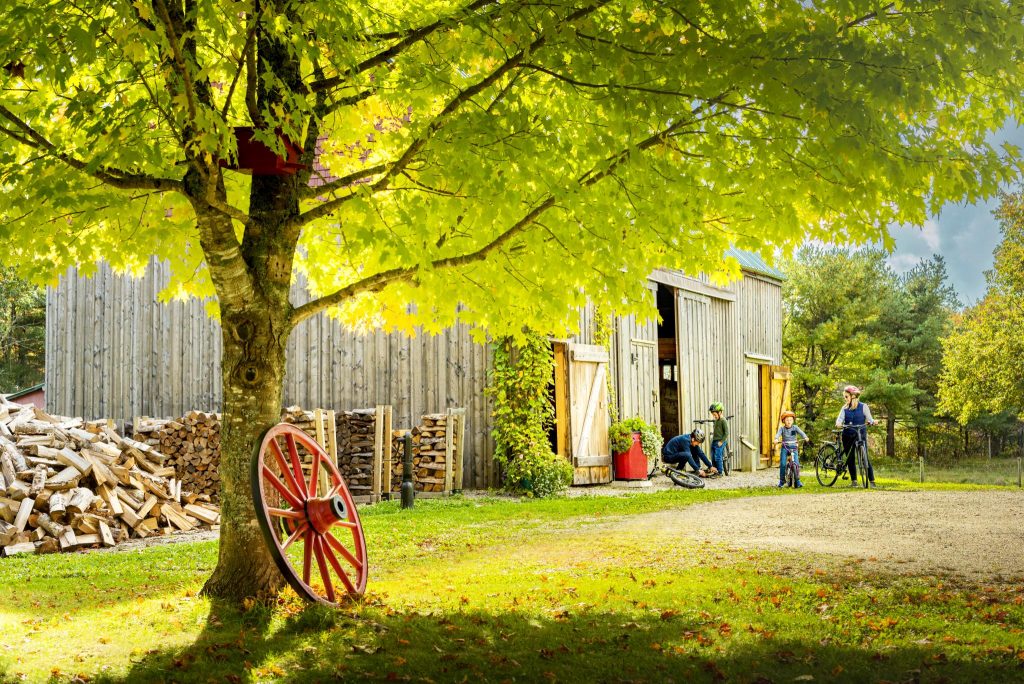 River Ridge Family Adventure