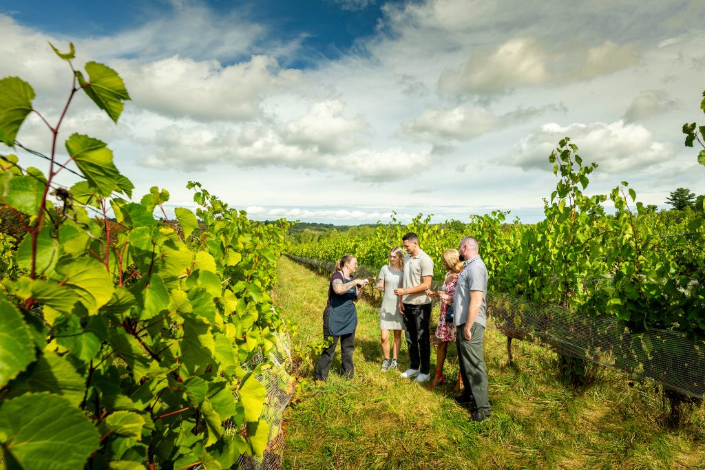 Magic Winery Bus Tour: Friday and Sunday