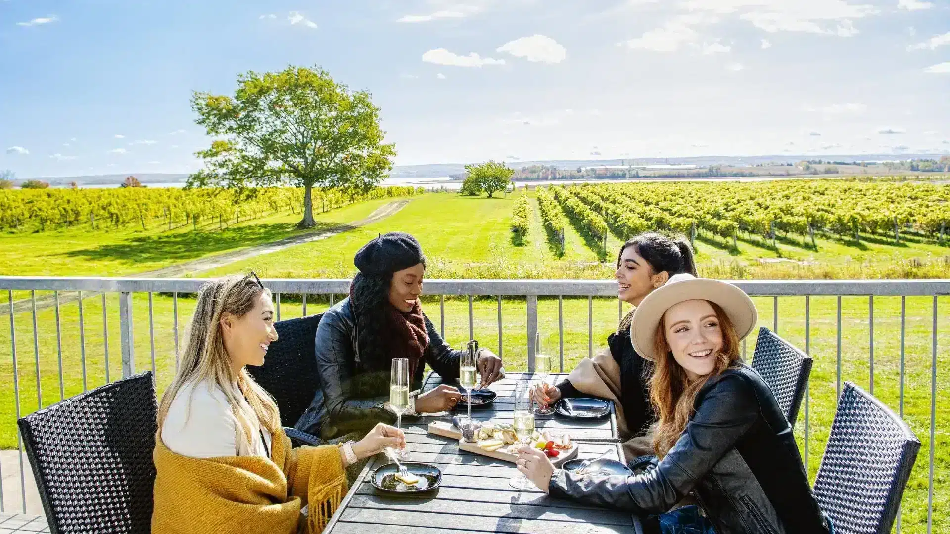 Four friends enjoy wine and food on a patio overlooking a lush vineyard on a sunny day