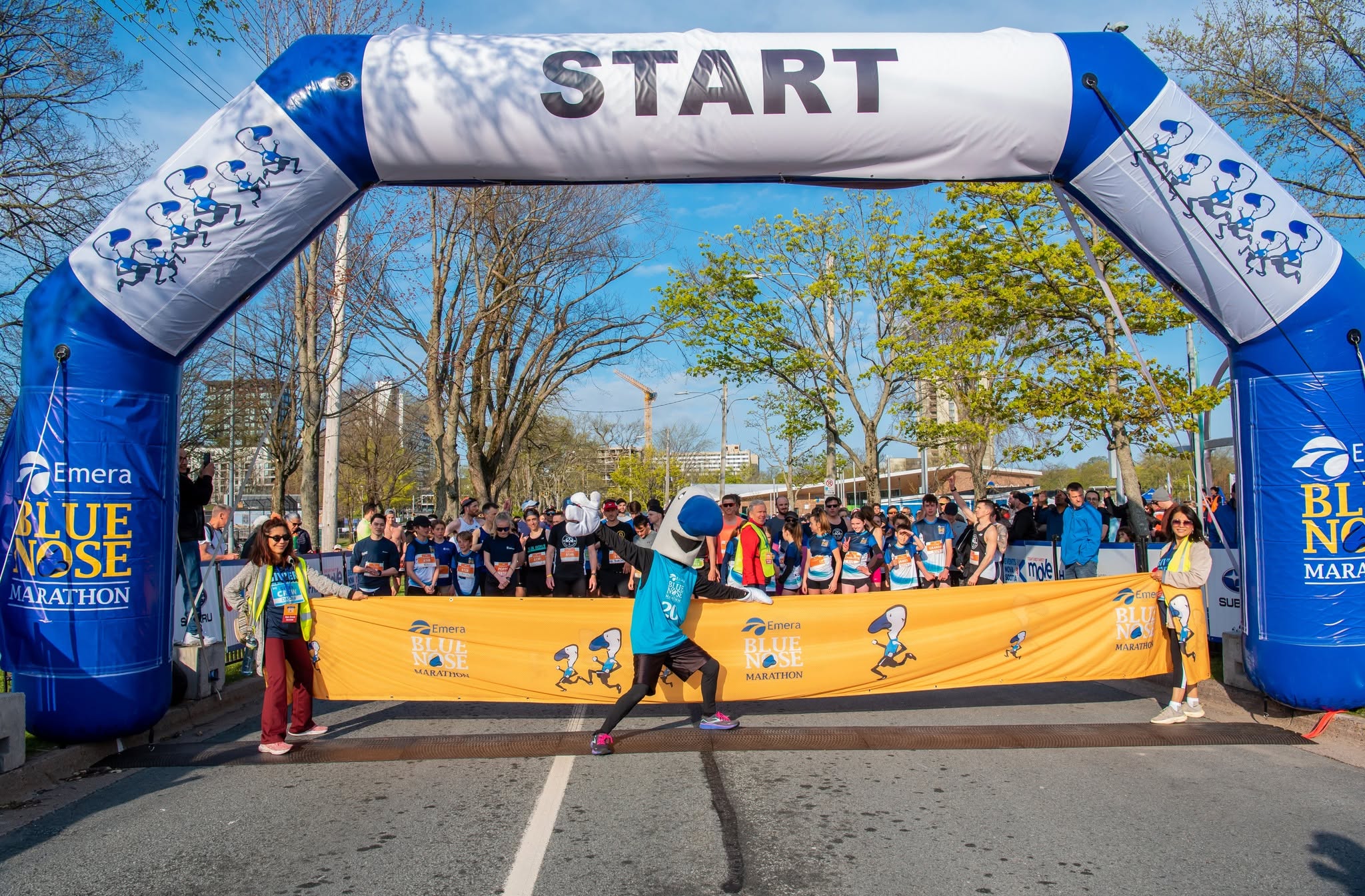 The start line of the annual Blue Nose Marathon in Halifax Nova Scotia.