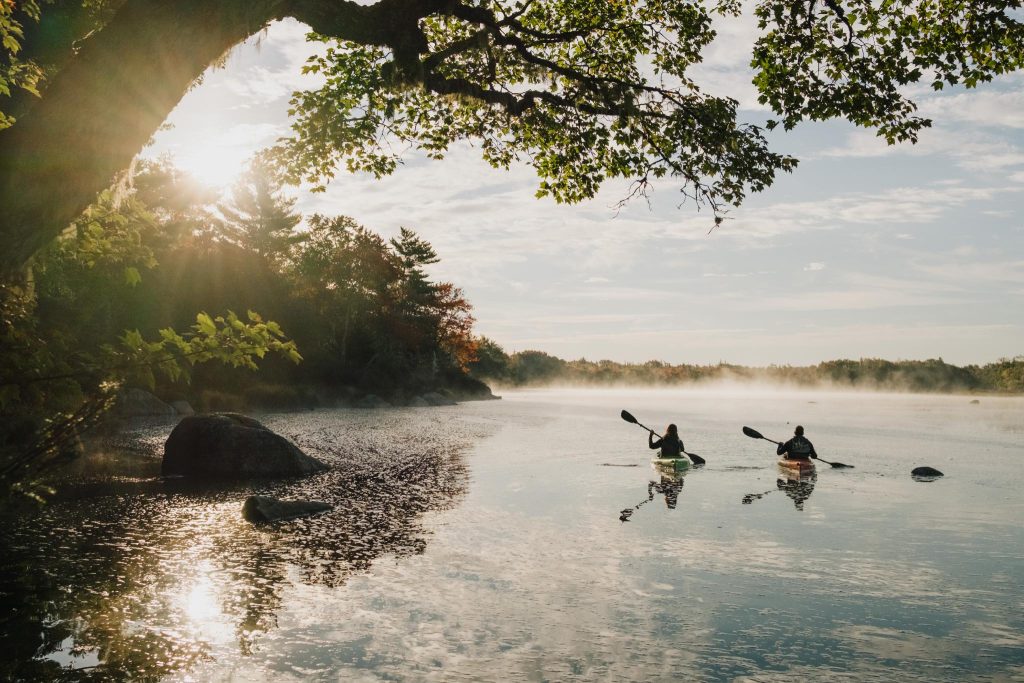 Wellness in the Wilderness