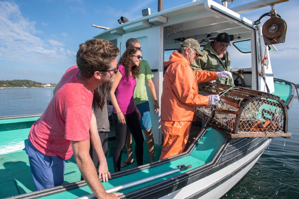 Sea-to-Table Lobster Adventure