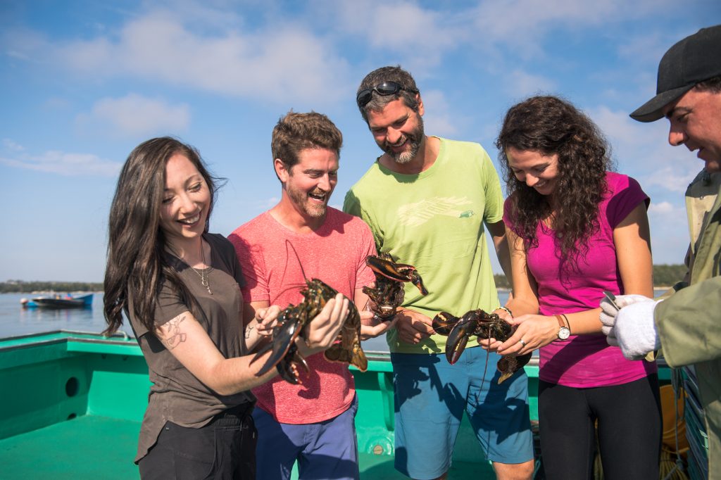 Sea-to-Table Lobster Adventure