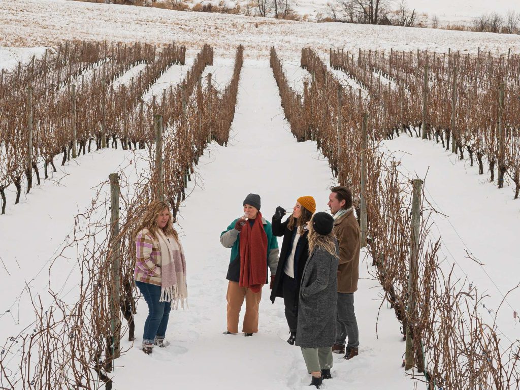 Valley Vineyard Getaway