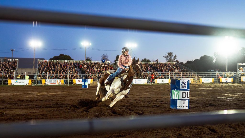 A rider on a horse race around barrels at dusk at the Nova Scotia Stampede