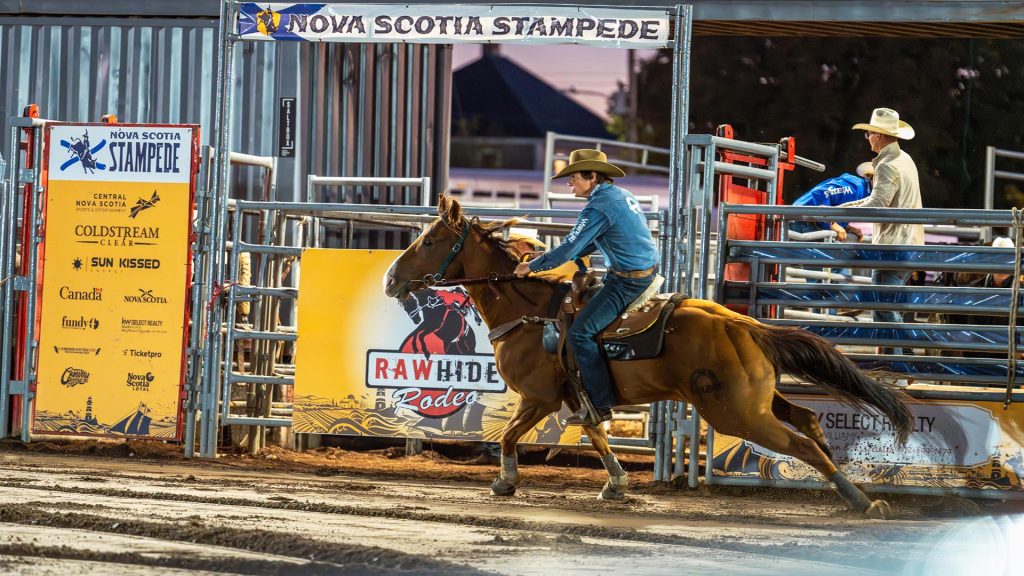 A rider on a horse gallop during the Nova Scotia Stampede