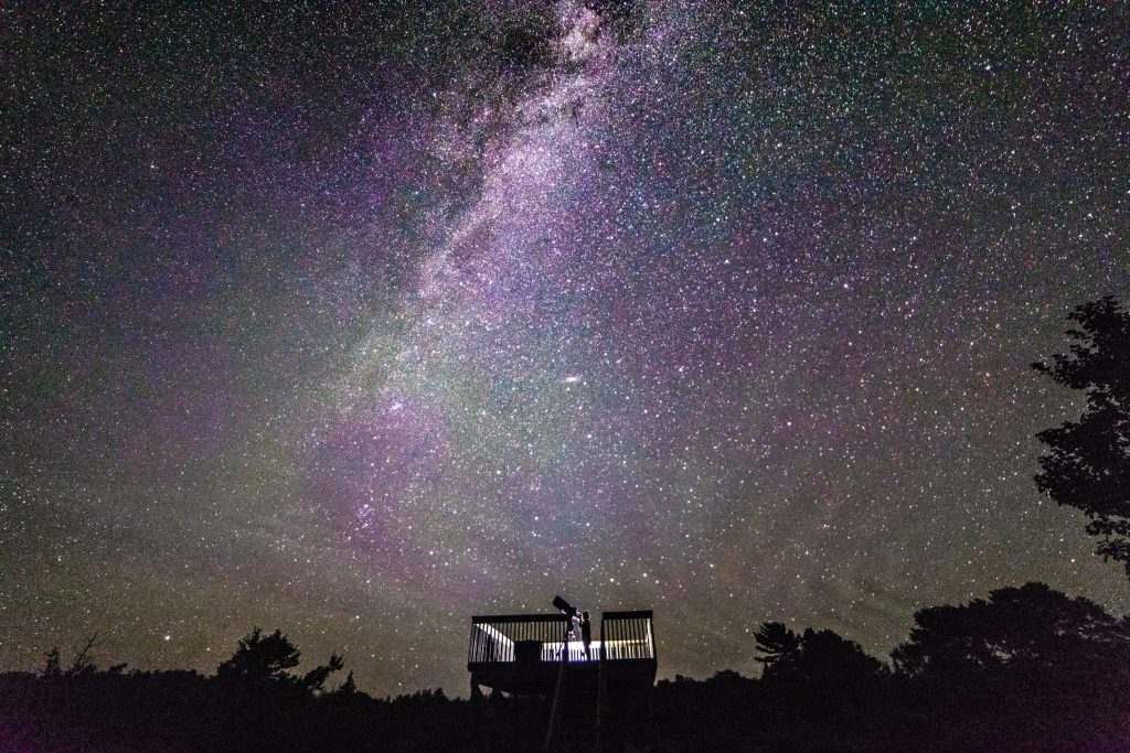 Wellness in the Wilderness