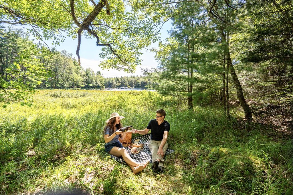 Wellness in the Wilderness