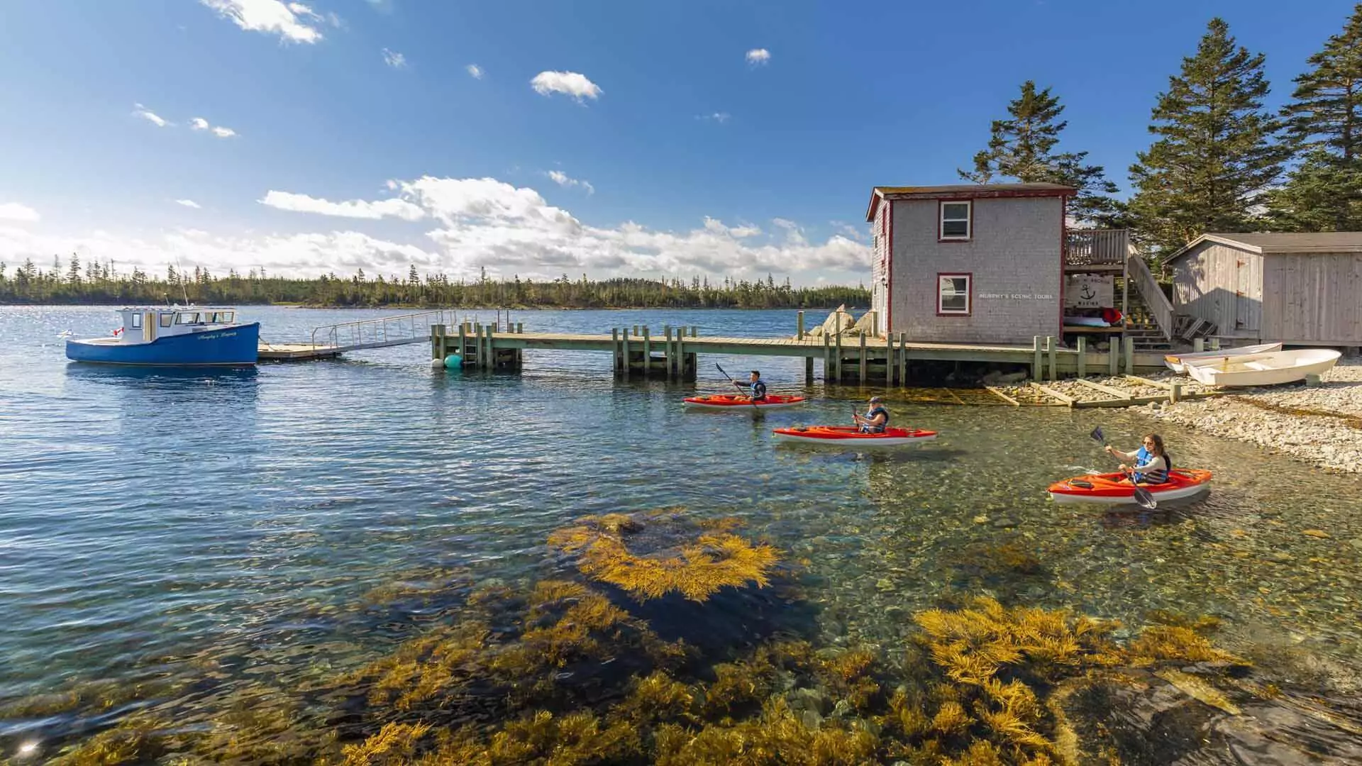 Murphy's Camping on the Ocean