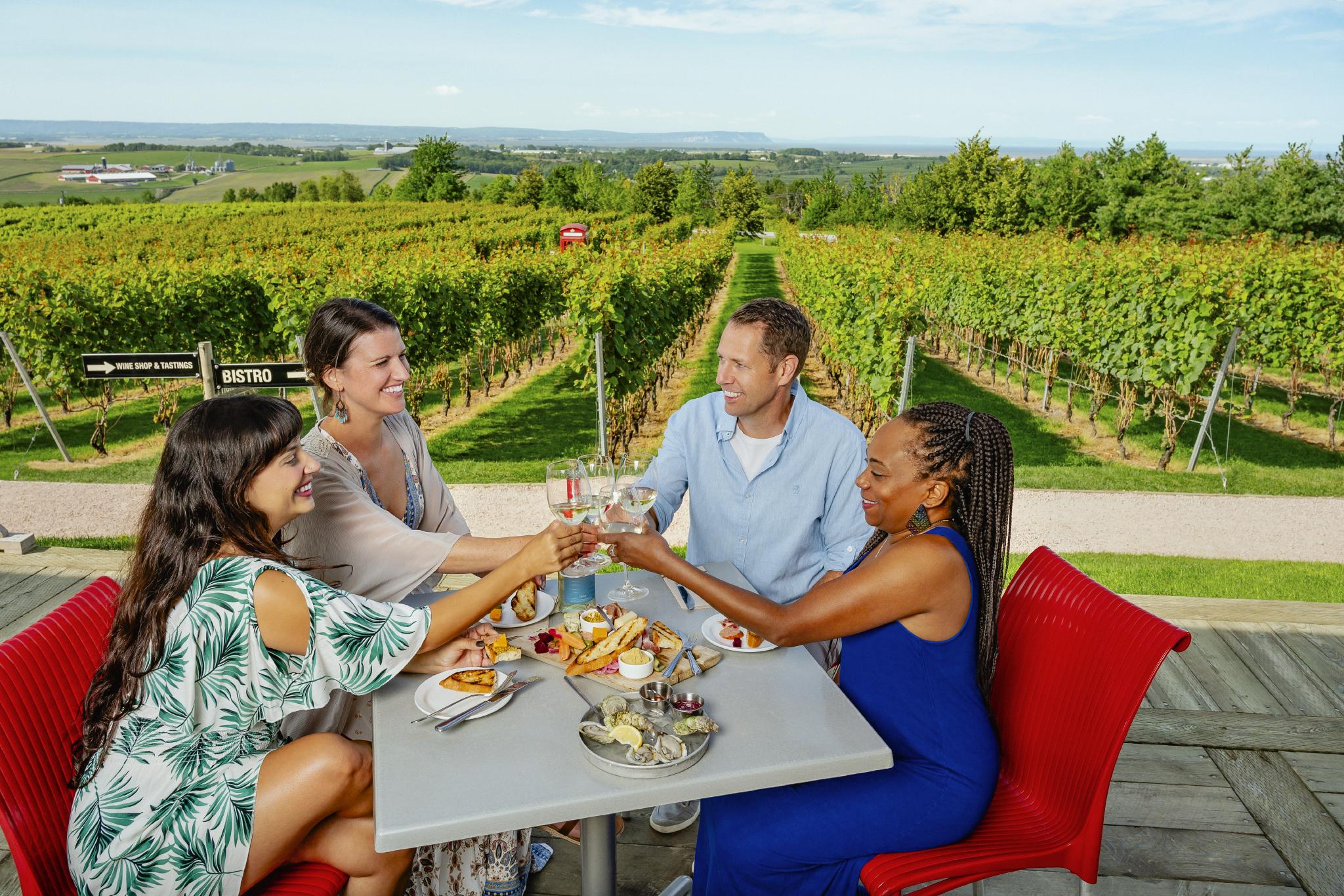A group of people dining, cheers glasses, overlooking a vineyard