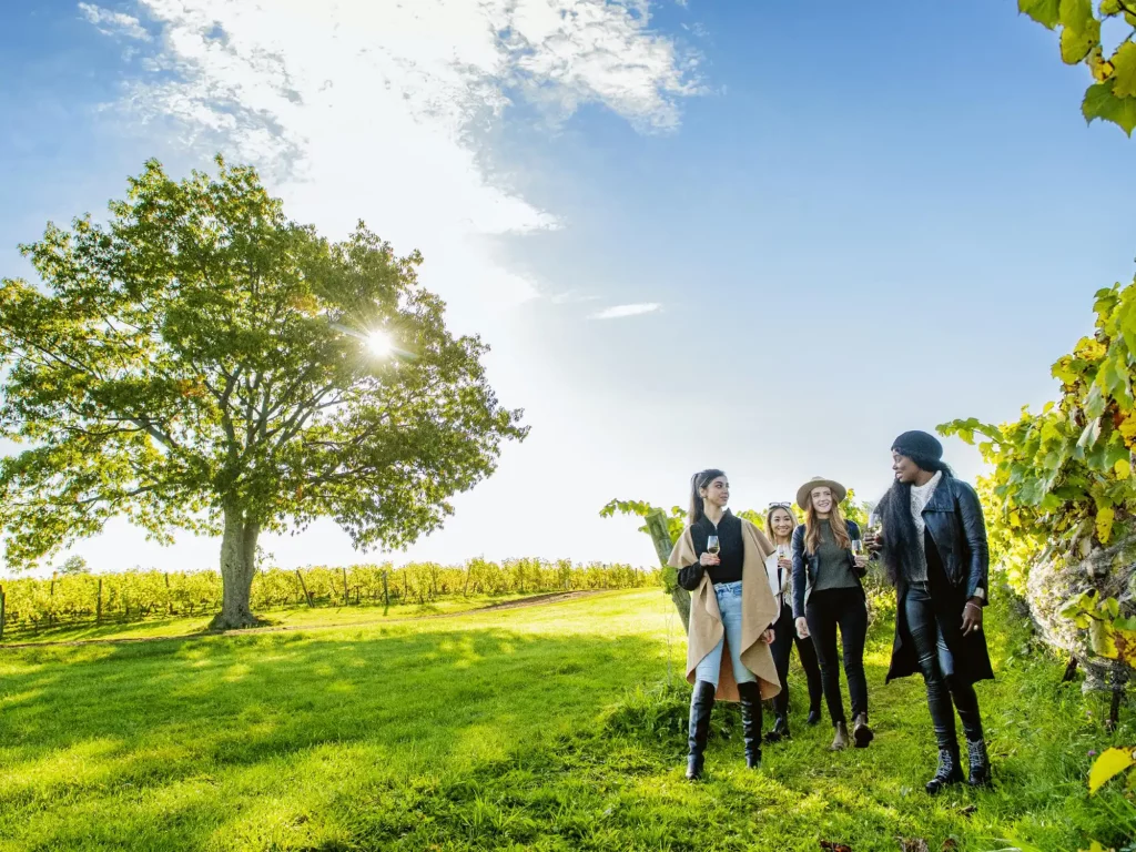 Magic Winery Bus Tour: Friday and Sunday