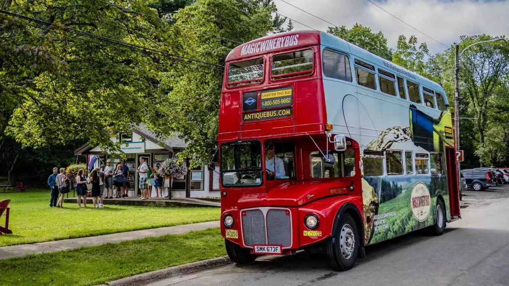Hop-On Hop-Off Tour