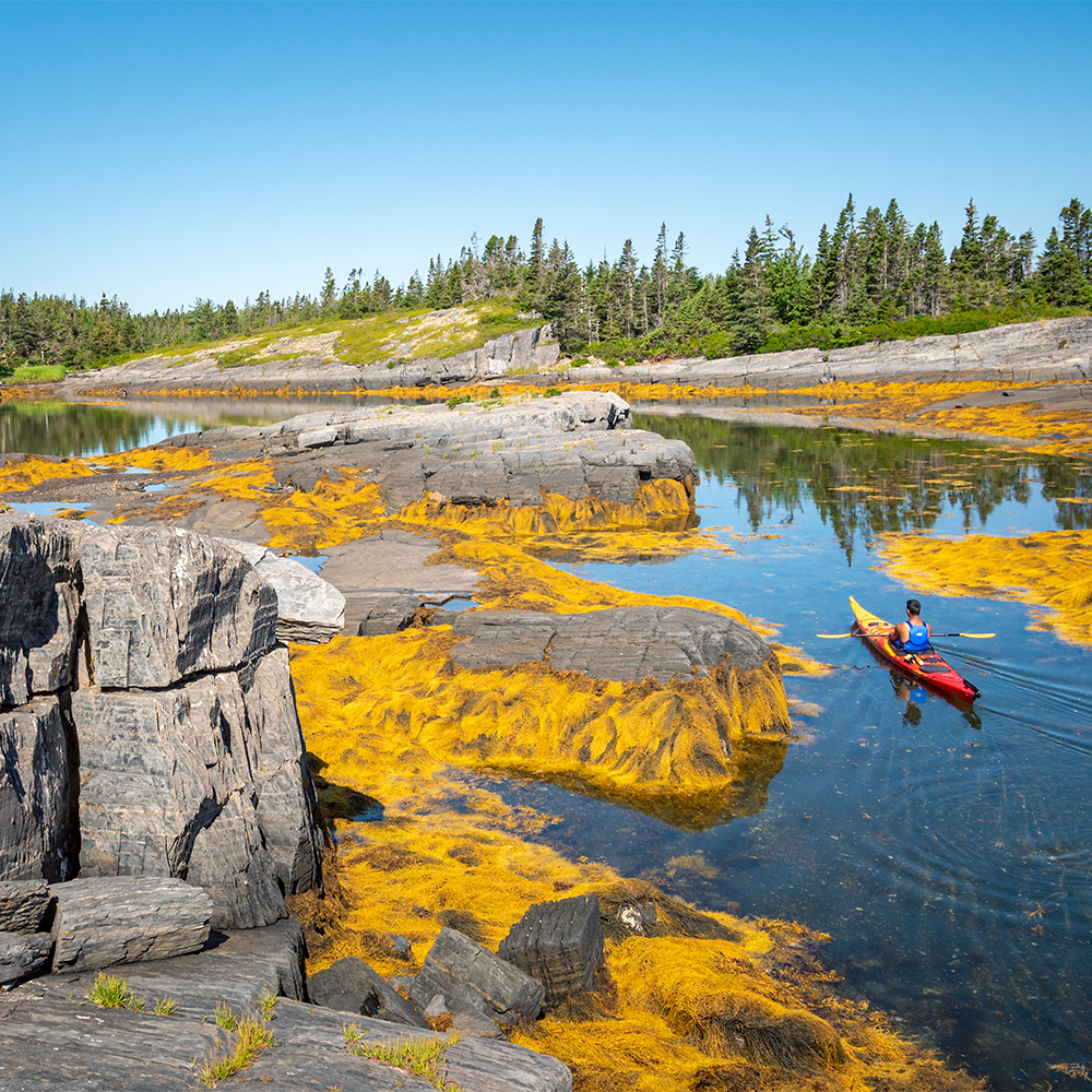 Kayaking near Blue Rocks with Pleasant Paddling