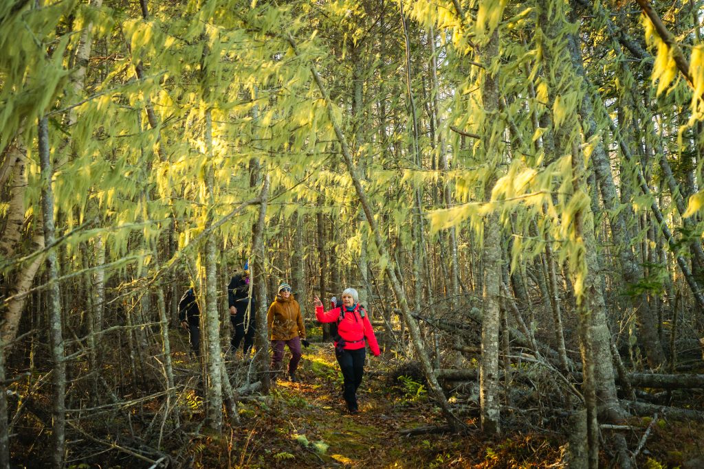 Hike & Savour Adventure