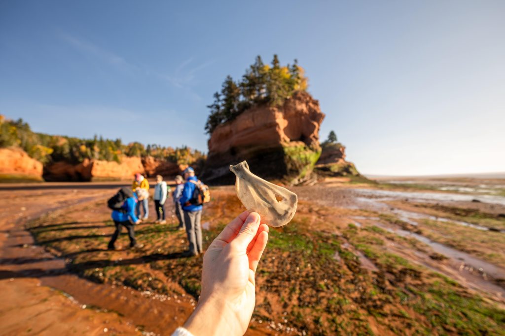 Hike & Savour Adventure