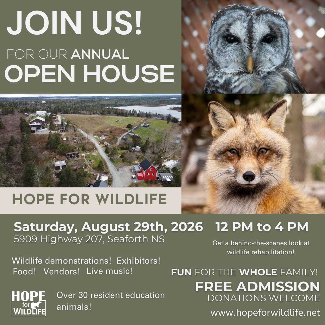 Hope for Wildlife's Open House 2026 advertisement