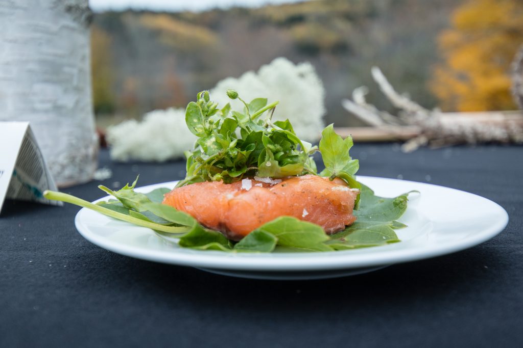 Devour! Studios: Tide to Table: A Nova Scotia Seafood Masterclass