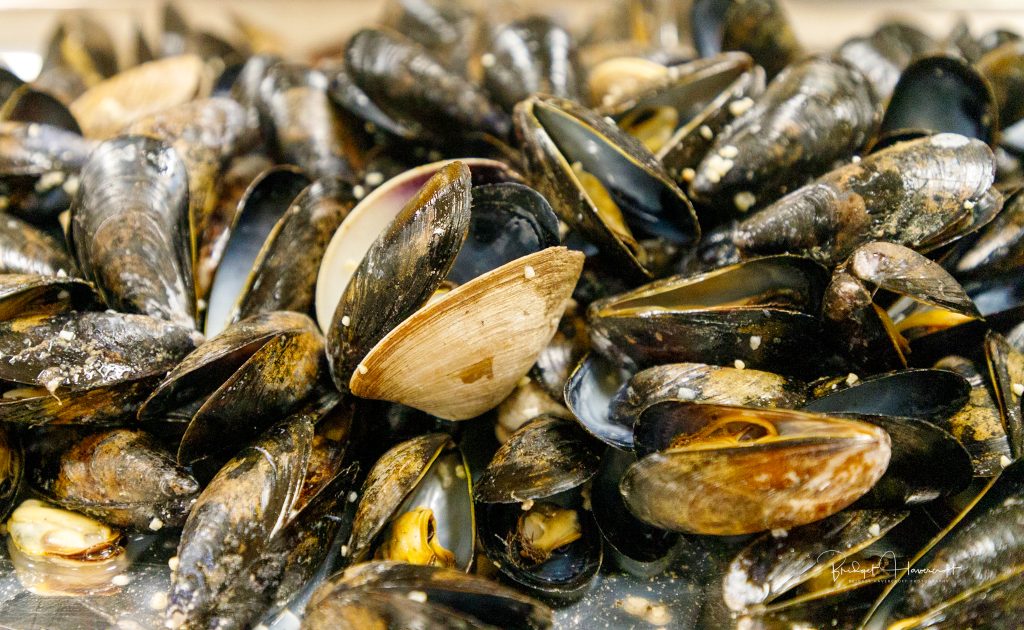 Devour! Studios: Tide to Table: A Nova Scotia Seafood Masterclass