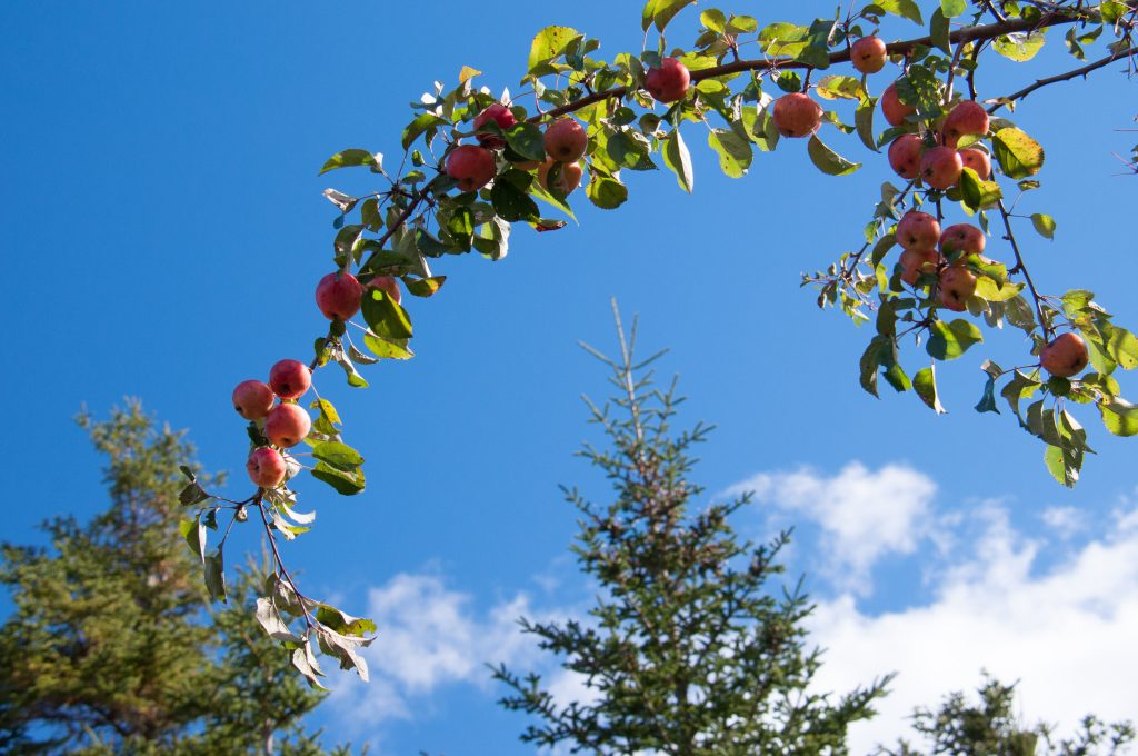 McNabs Island Fall Foliage Tour
