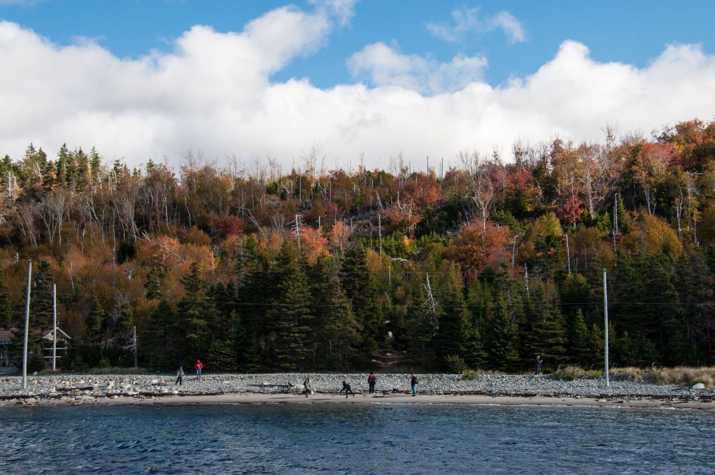 McNabs Island Fall Foliage Tour