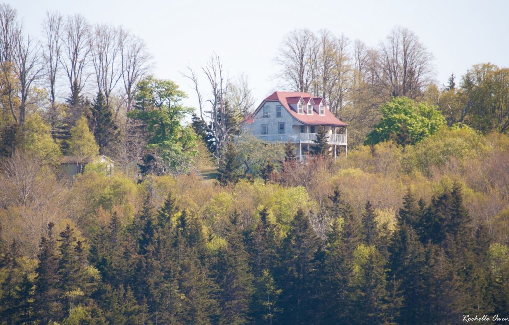 McNabs Island Fall Foliage Tour