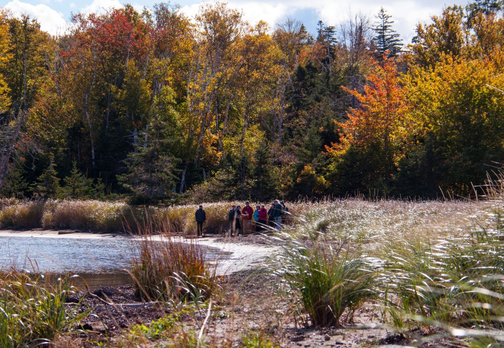 McNabs Island Fall Foliage Tour