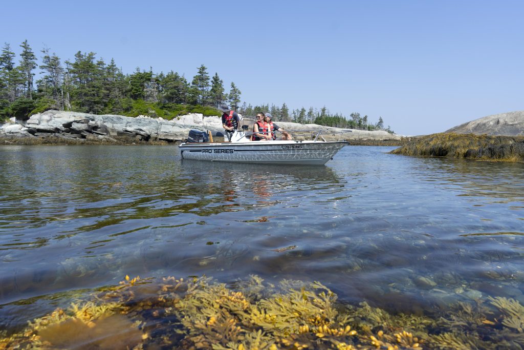 100 Islands, 100 Minutes Boat Tour