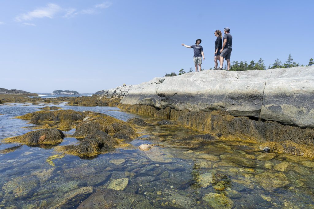 100 Islands, 100 Minutes Boat Tour