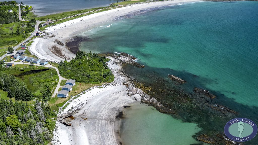 Beachfront Stay & Clam Digging