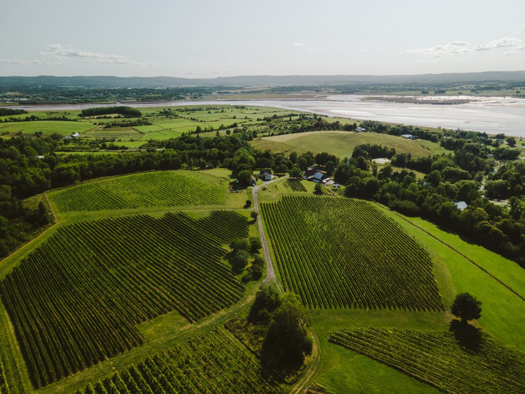 Avondale Sky Sip, Stay & Savour