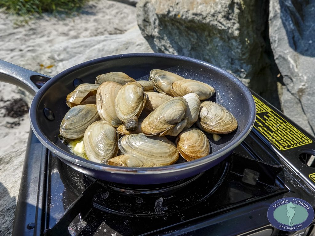 Beachfront Stay & Clam Digging