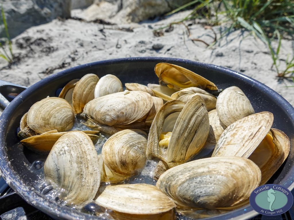 Beachfront Stay & Clam Digging