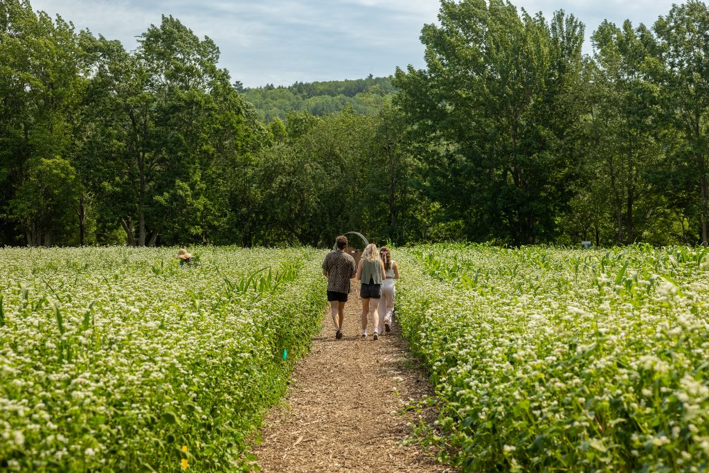 Biodiversity Tour & Wine-Led Walk