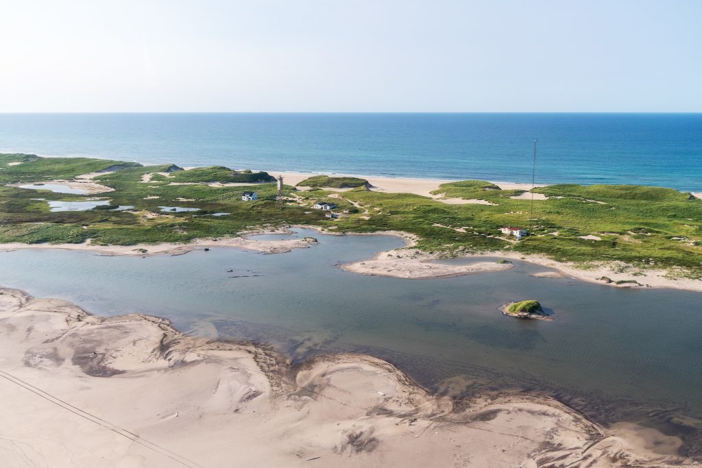 Sable Island Fall & Winter Tours: Picture Perfect Tours