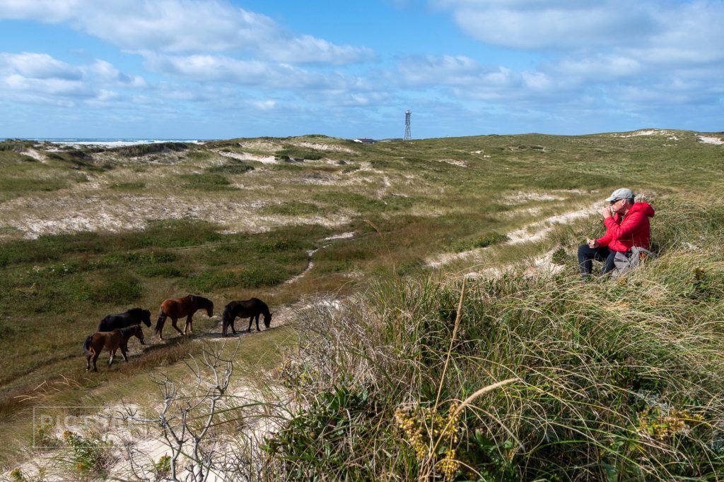 Sable Island Fall & Winter Tours: Picture Perfect Tours