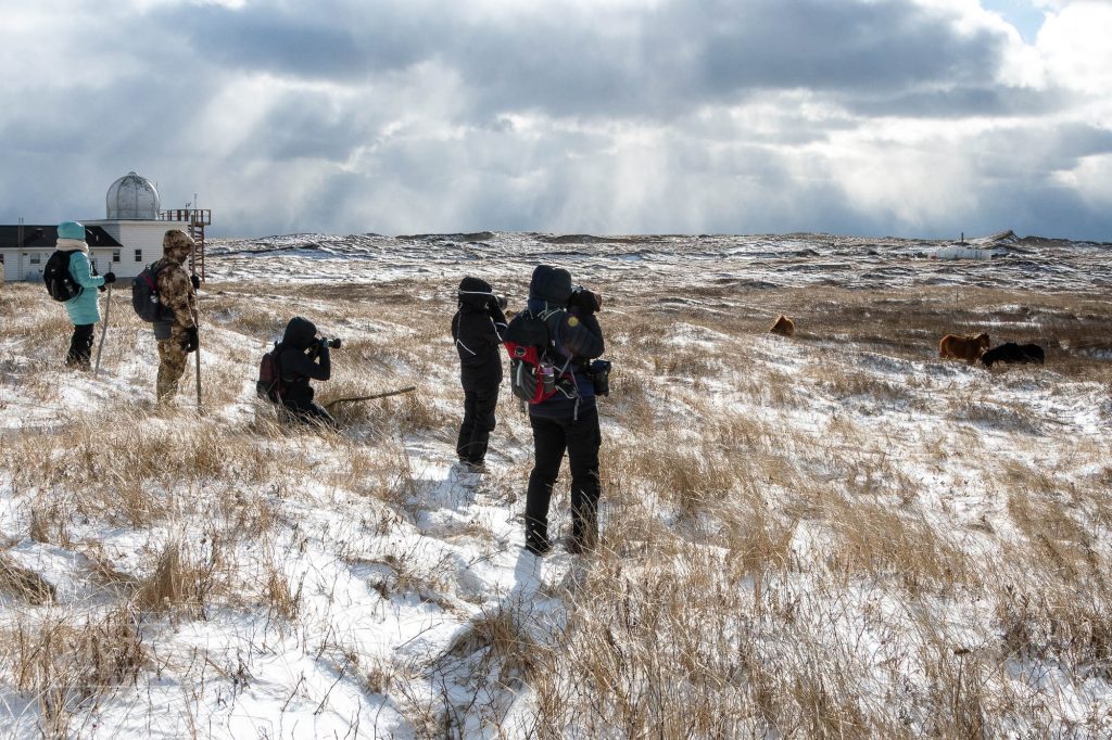 Sable Island Fall & Winter Tours: Picture Perfect Tours